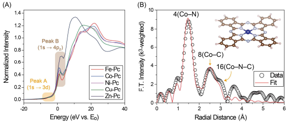 본 연구에서 수행한 TM-Pc의 (A) XANES 분석 및 (B) EXAFS 분석 (Co-Pc 결과만 도시)