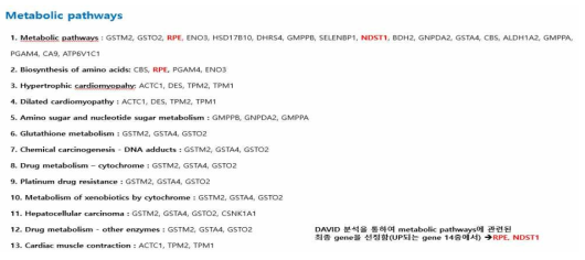 Metabolic pathway에서 식도암의 특이적인 단백체 최종 선별함