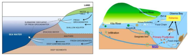 연안 환경에서 해저지하수 유출 과정(Burnett, 2006)(좌)과 해저지하수 유출이 미치는 영향에 대한 그림(Burnett, 2018, Water)(우)