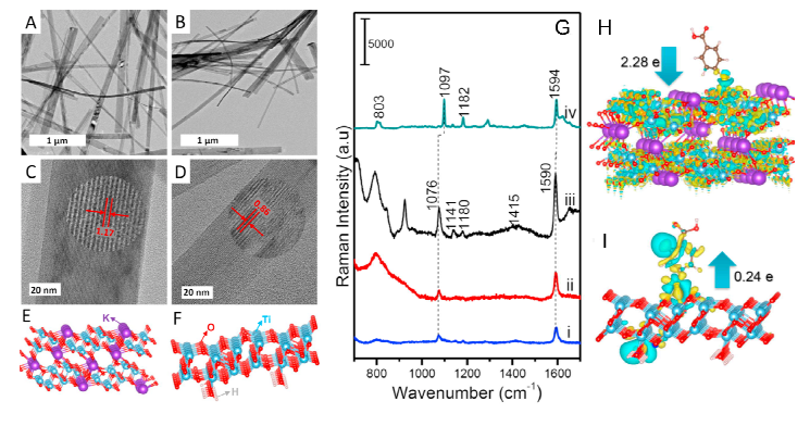 K2Ti6O13 (A,C)과 H2Ti3O7 (B,D)의 TEM(A,B)과 HRTEM(C,D) 이미지. K2Ti6O13 (E)과 H2Ti3O7 (F)의 구조. 4-MBA의 SERS 스펙트럼 (G). K2Ti6O13 (H)과 H2Ti3O7 (I) 표면 위에 4-MBA가 흡착하였을 때 전하 분포도