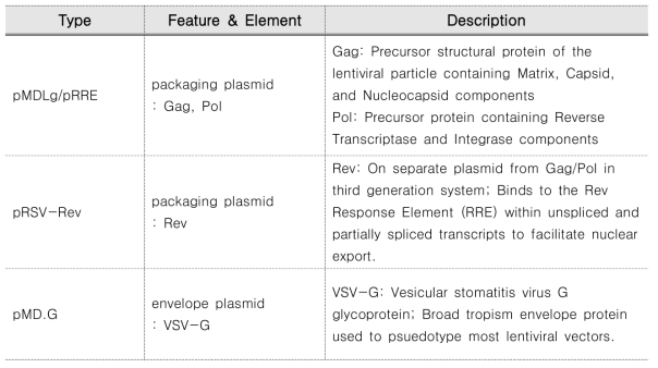 렌티바이러스 제조용 packaging 플라스미드와 envelope 플라스미드의 종류 및 특징