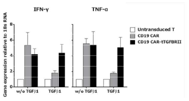 TGF-β 재조합 단백질 첨가에 따른 cytokine 분비량 확인