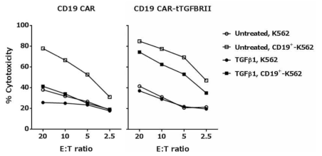 TGFBRII의 우성음성수용체(tTGFBRII)가 첨가된 CD19 CAR-T의 세포독성 평가