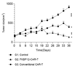 HCT-116 대장암 동물모델에서의 항암내성인자 극복 CAR-T 후보 3 효력시험-종양크기