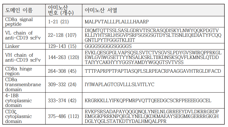 CAR의 기본 구조 및 아미노산 서열