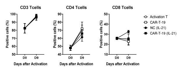 IL-21 싸이토카인 첨가에 따른 CAR-T 세포의 CD4/CD8 T 세포 분포 확인