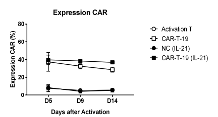 IL-21 싸이토카인 첨가에 따른 안정적인 CAR 발현율
