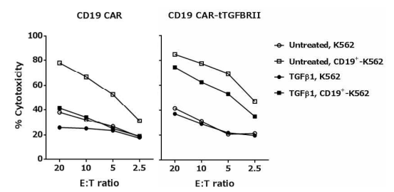 TGFBRII의 우성음성수용체(tTGFBRII)가 첨가된 CD19 CAR-T의 세포독성 평가