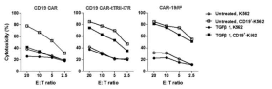 CD19 CAR-tTRII-I7R (tTGFBRII-I7R)와 CAR-19#F의 세포독성 평가