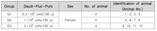 군 구성 요약표