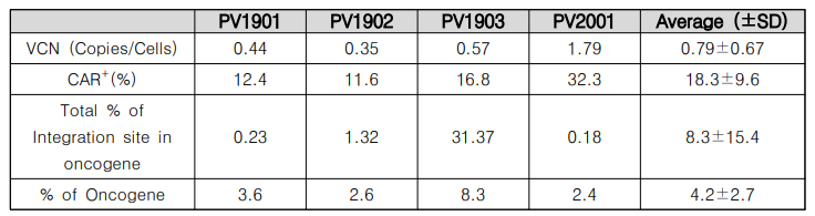 fCAR-T 4 Lots의 VCN 및 CAR 발현 결과