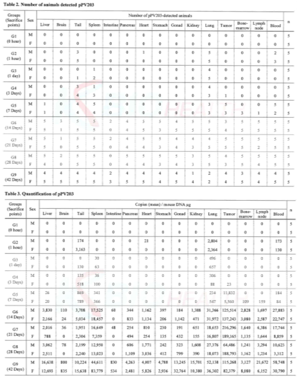 PV203 투여 동물모델에서의 체내분포 평가 결과