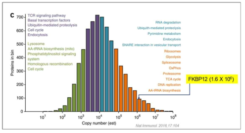 세포내에 proteome 분석