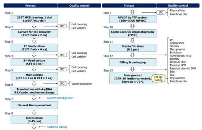렌티바이러스 제조 공정도