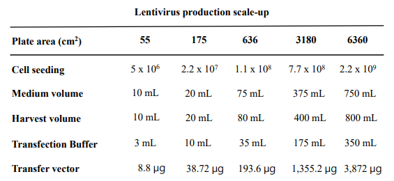 랜티바이러스 제조 scale-up 배양용기에 대한 최적 조건 설정
