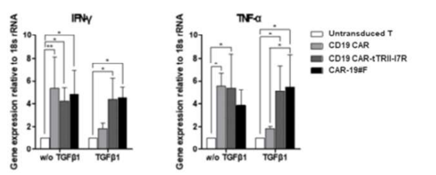 TGF-β 재조합 단백질 첨가에 따른 cytokine 분비량 확인