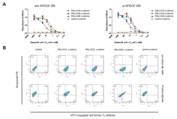 PDGF-BB 존재 여부에 따른 항 PDGFRβ x 코티닌 이중 특이성 scFv-Cκ-scFv 항체의 hPDGFRβ에 대한 결합능 검증