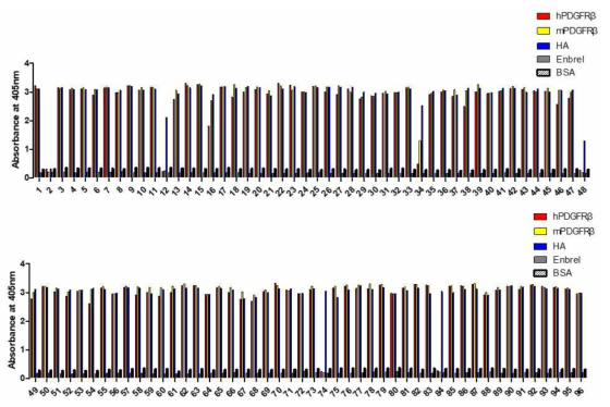 Phage ELISA에서 항체 클론의 hPDGFRβ 에 대한 결합력 확인