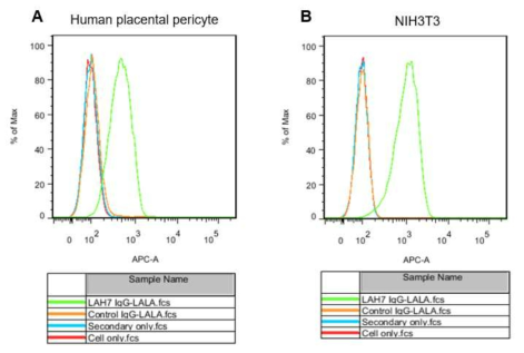 유세포 실험을 이용한 항 PDGFRβ 클론 LAH7 IgG 항체의 결합능 결과