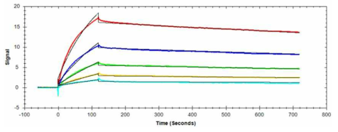 항 hPDGFRβ 클론 LAH7 IgG 항체의 hPDGFRβ에 대한 플라즈몬 공명 분석 (SPR)을 이용하여 항 hPDGFRβ 항체 클론 LAH7 IgG LALA 항체의 hPDGFRβ에 대한 친화력 (affinity)을 측정하였음. 여러 농도에서 분석을 진행 후 그래프 모델링을 진행함