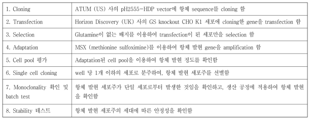 세포주 개발 단계