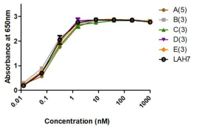 항 hPDGFRβ 클론 LAH7의 최적화 과정 클론 (A, B, C, D, E)의 hPDGFRβ에 대한 결합능 시험