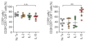 CD8 T 세포에 Il-15 및 다른 common-gamma chain cytokine을 주었을 때 CD28-CD57+ 노화 CD8 T세포 및 CD28+CD57- CD8 T 세포에서 CCR5 변화를 분석한 실험