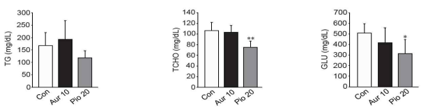 serum triglyceride, total cholesterol, glucose 수치 확인