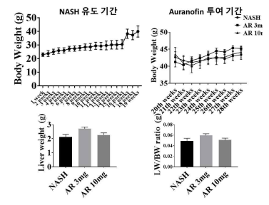 고지방 식이로 유도 된 NASH 모델 에서의 체중 변화 및 간 무게 변화