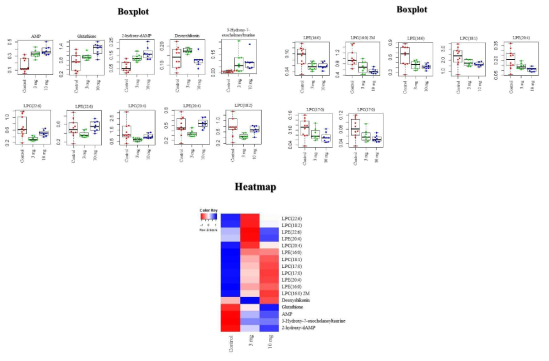 Box plot 및 heat map 분석 결과 항산화 및 지방산 관련 대사체의 유의한 차이를 확인