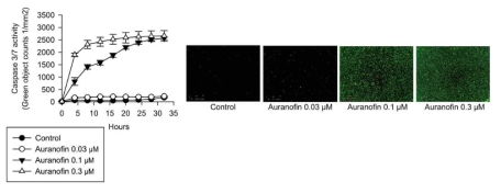 Incucyte 세포분석기를 이용한 caspase-3/7 활성 정량