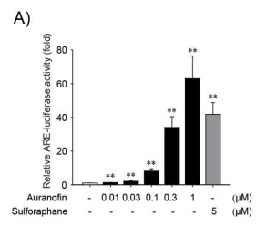 88. Nrf2/ARE 활성화