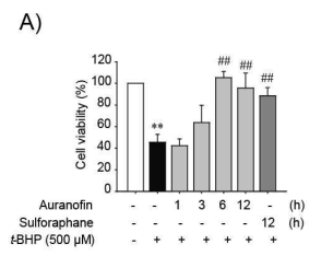 시간의존적인 오라노핀의 t-BHP에 의한 세포사멸 방어효과