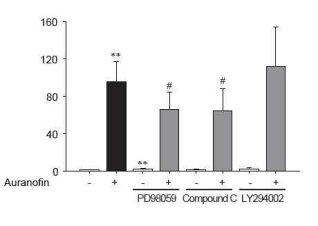 ERK, AMPK, Akt 억제시 auranofin의 ARE-luciferase 활성유도에 미치는 영향 평가