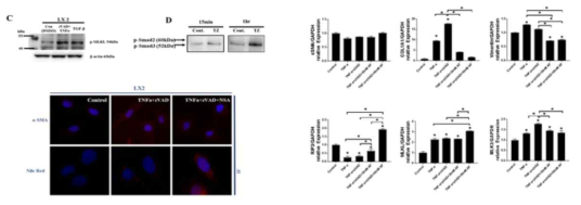 Necroptosis 지표 확인