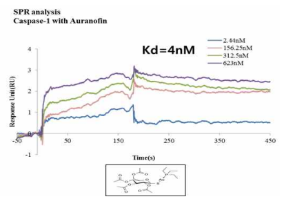 SPR analysis: caspase-1 with Auranofin