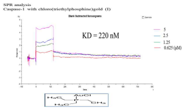 SPR analysis: caspase-1 with Cl(triehtyl phosphine)gold(I)