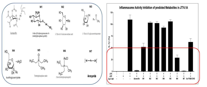 오라노핀과 예상대사체의 inflammasome 활성 억제능 평가