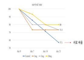 담즙결찰 마우스의 생존률