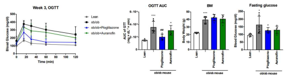 ob/ob 마우스에서 오라노핀의 내당성 개선 효능 평가(3 주차)