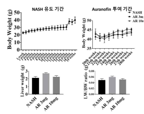 고지방 식이로 유도 된 NASH 모델에서의 체중 변화 및 간 무게 변화