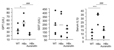 HBx 형질전환 마우스의 혈중 지표