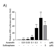 Nrf2/ARE 활성화