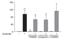 ERK, AMPK, Akt 억제시 auranofin의 ARE-luciferase 활성유도에 미치는 영향 평가