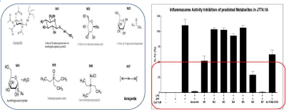 오라노핀과 예상대사체의 inflammasome 활성 억제능