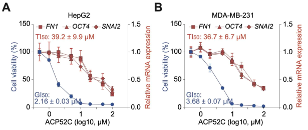 ACP52C에 의한 세포 성장 억제는 전사 억제보다 낮은 농도에서 발생함