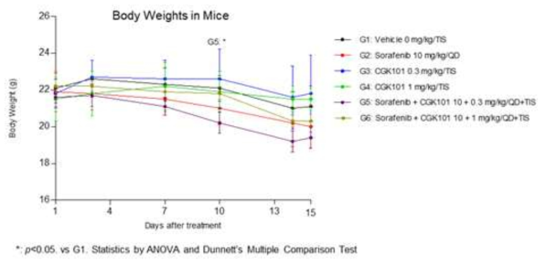 HepG2 이종이식 생쥐모델에서 CGK101의 항종양 효력 2차 시험 (체중 변화)