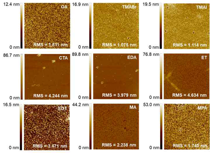 표면리간드 종류에 따른 AgBiS2 양자점 박막의 atomic force microscopy: 형태학