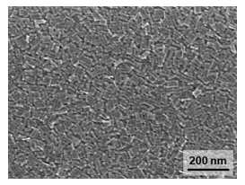 기판과 평행하게 배열된 나노 판상구조의 SEM 분석 이미지