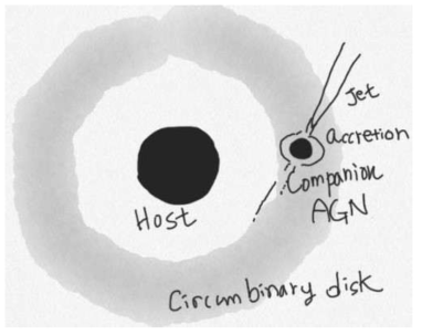 binary SMBH with circumbinary disk